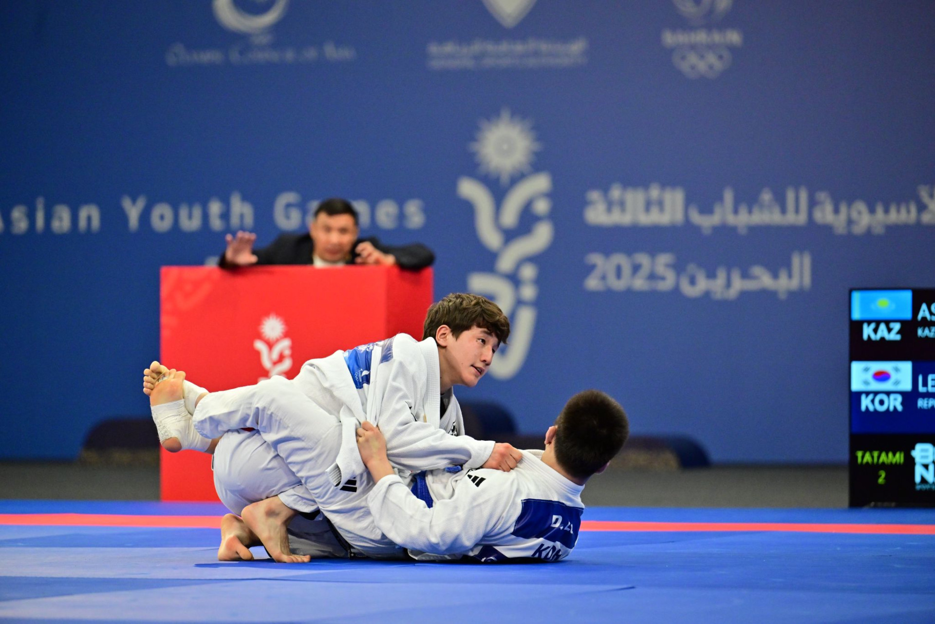 Джиу-джитсу