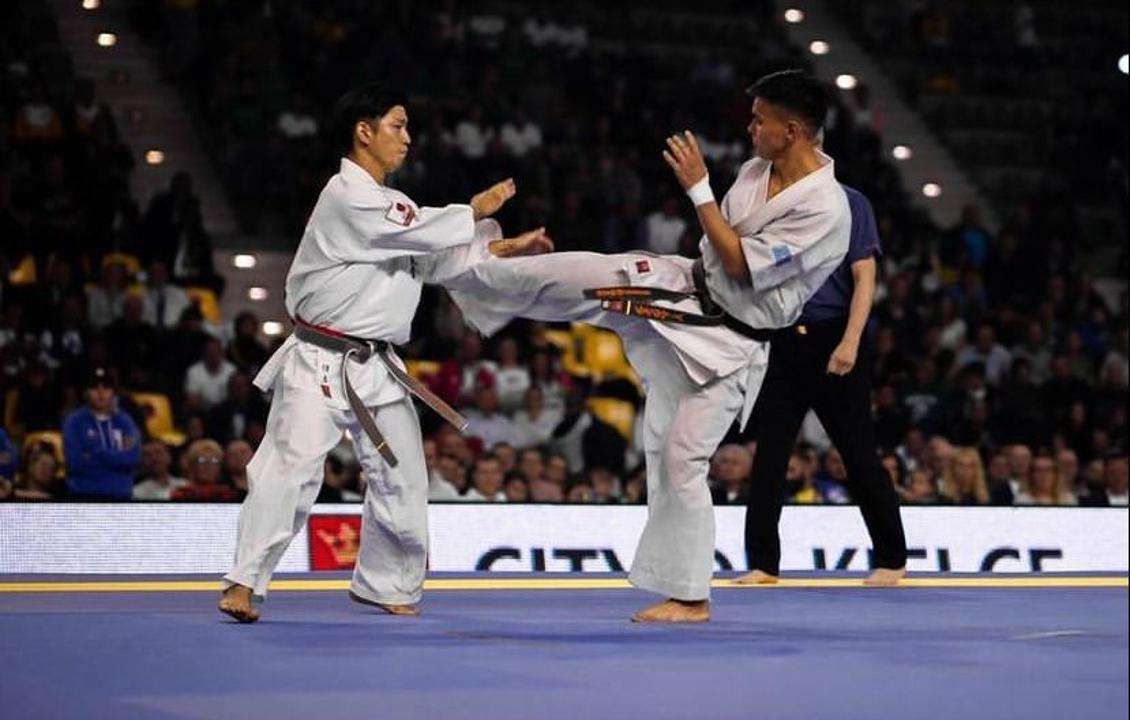 Карате-до шинкиокушинкай