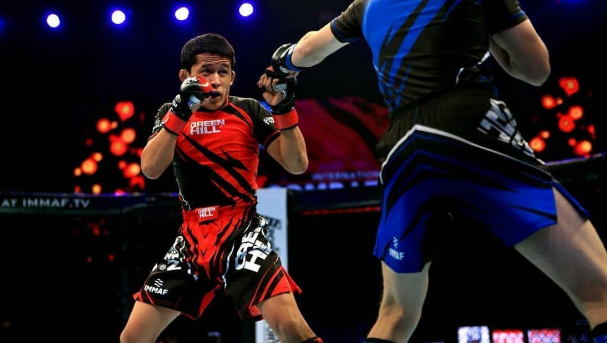 ММА (смешанные боевые единоборства)